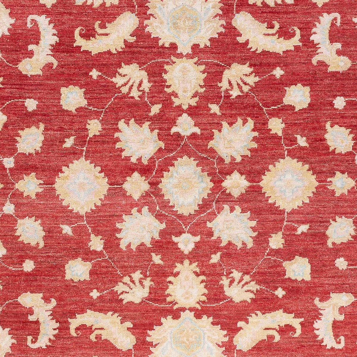 Ziegler Carpet - 240 x 175 cm - röd