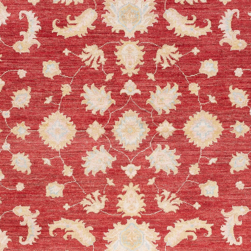 Ziegler Carpet - 240 x 175 cm - röd