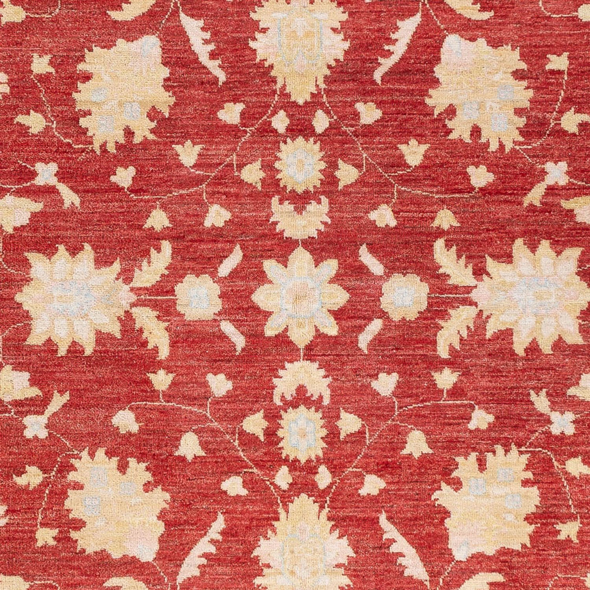 Ziegler Carpet - 234 x 172 cm - röd