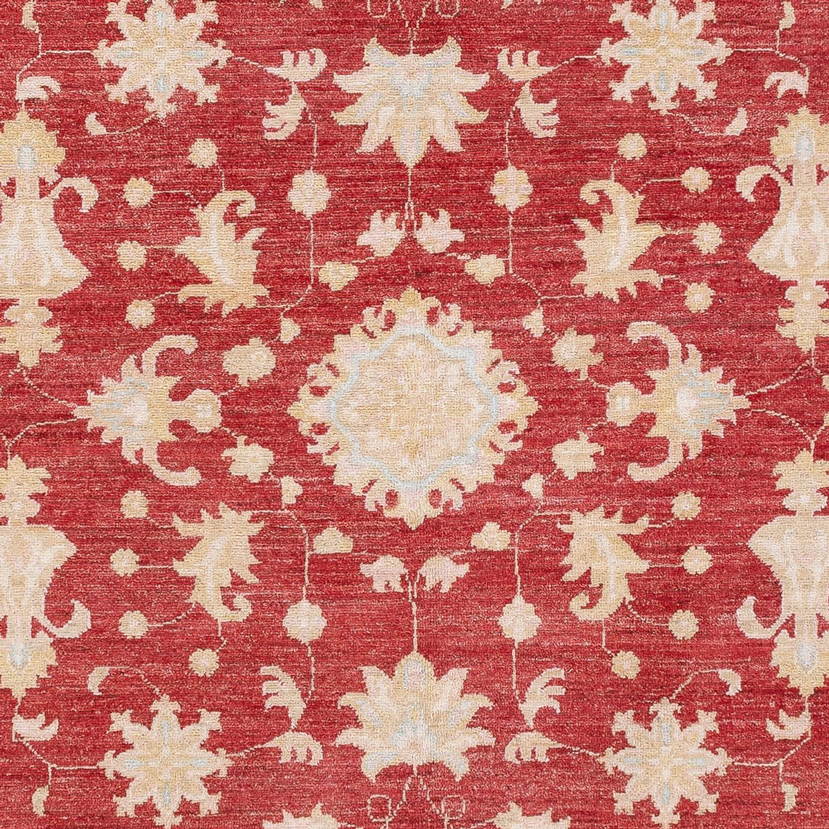 Ziegler Carpet - 239 x 177 cm - röd