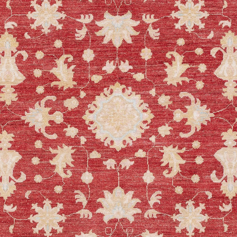Ziegler Carpet - 239 x 177 cm - röd