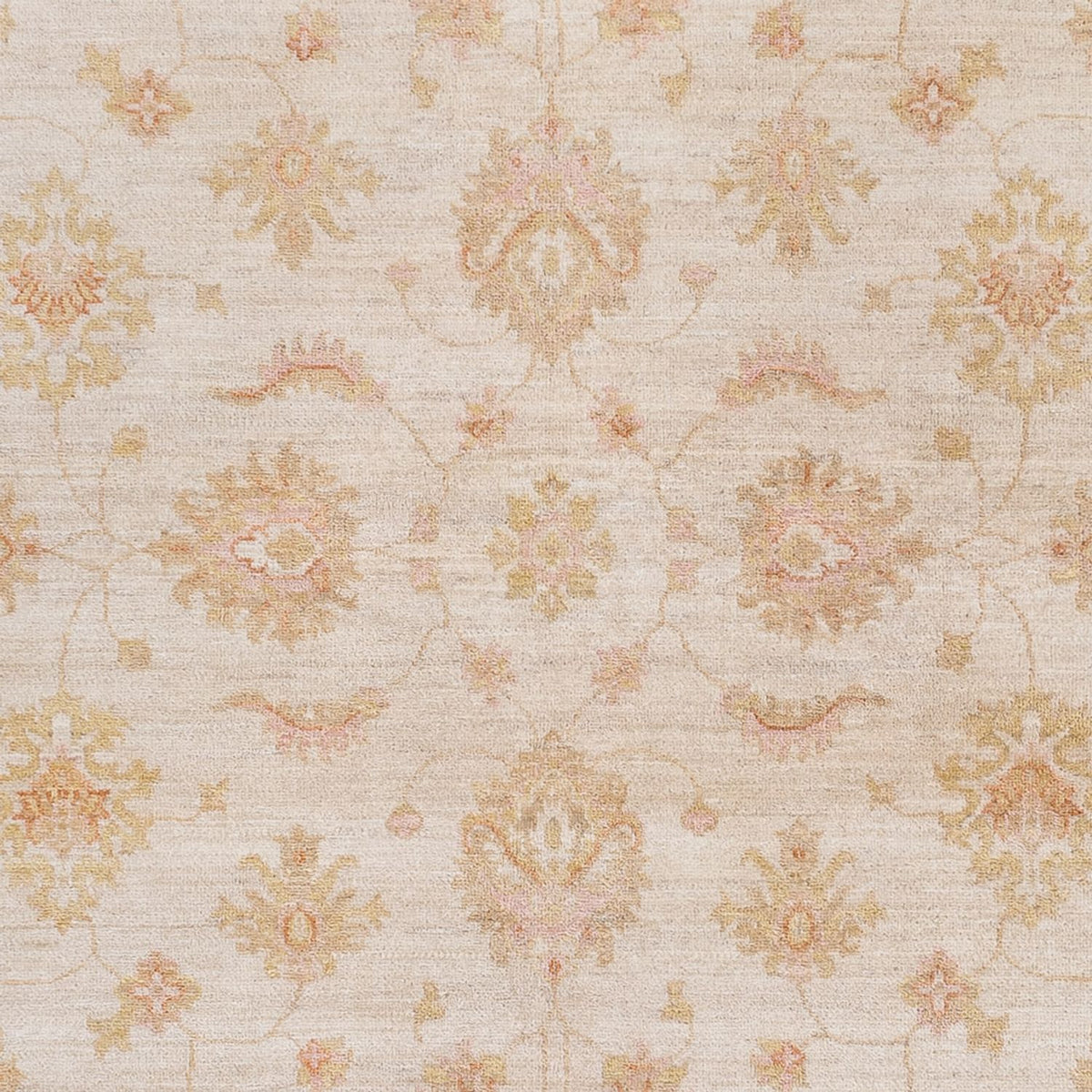 Ziegler Carpet - 238 x 170 cm - grädde
