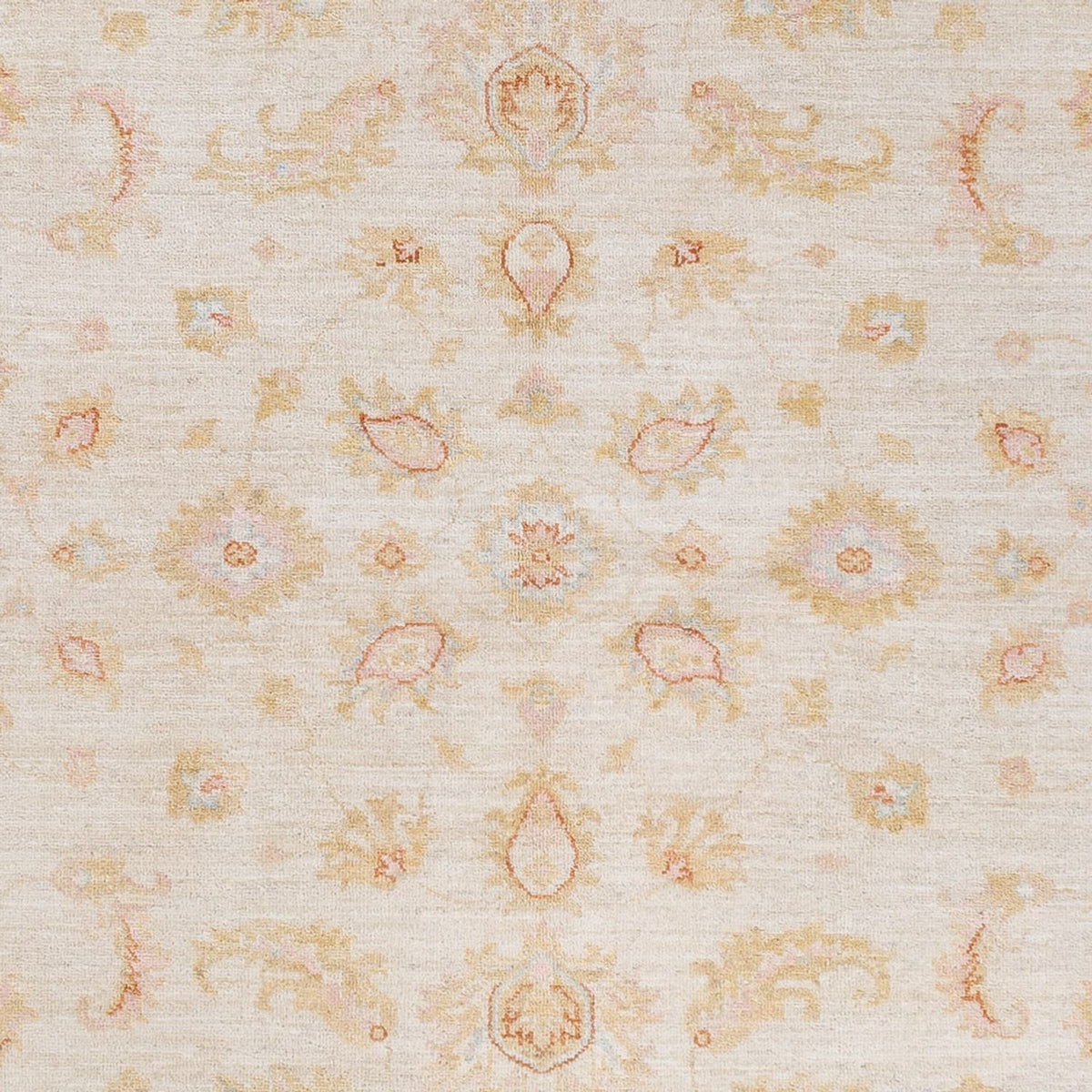 Ziegler Carpet - 245 x 173 cm - grädde