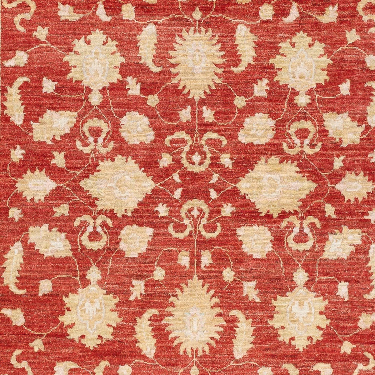 Ziegler Carpet - 241 x 171 cm - röd