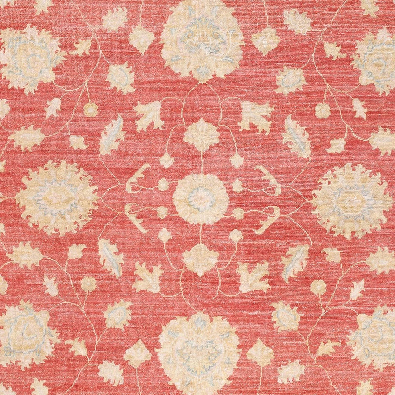 Ziegler Carpet - 251 x 173 cm - röd