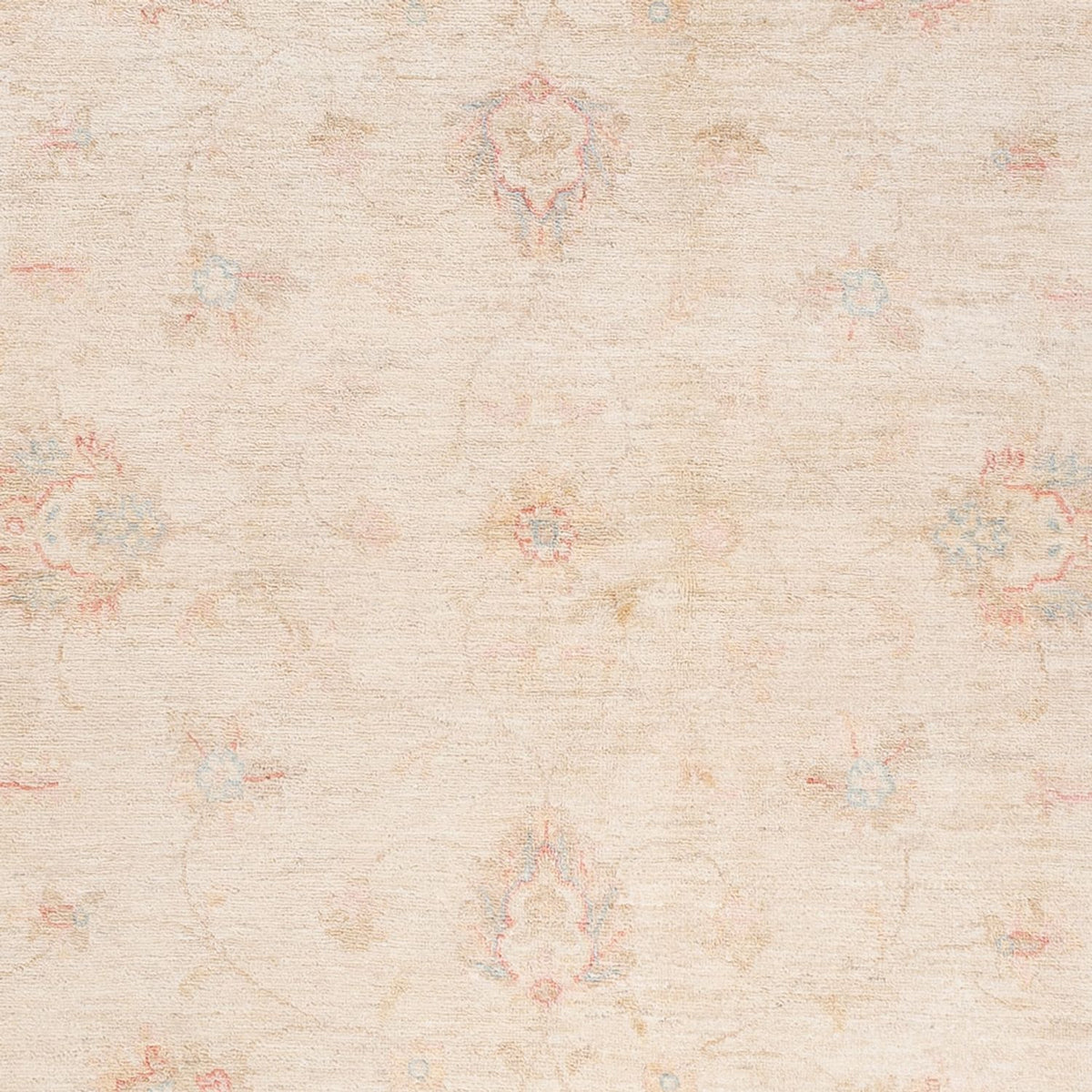 Ziegler Carpet - Ariana - 241 x 173 cm - beige