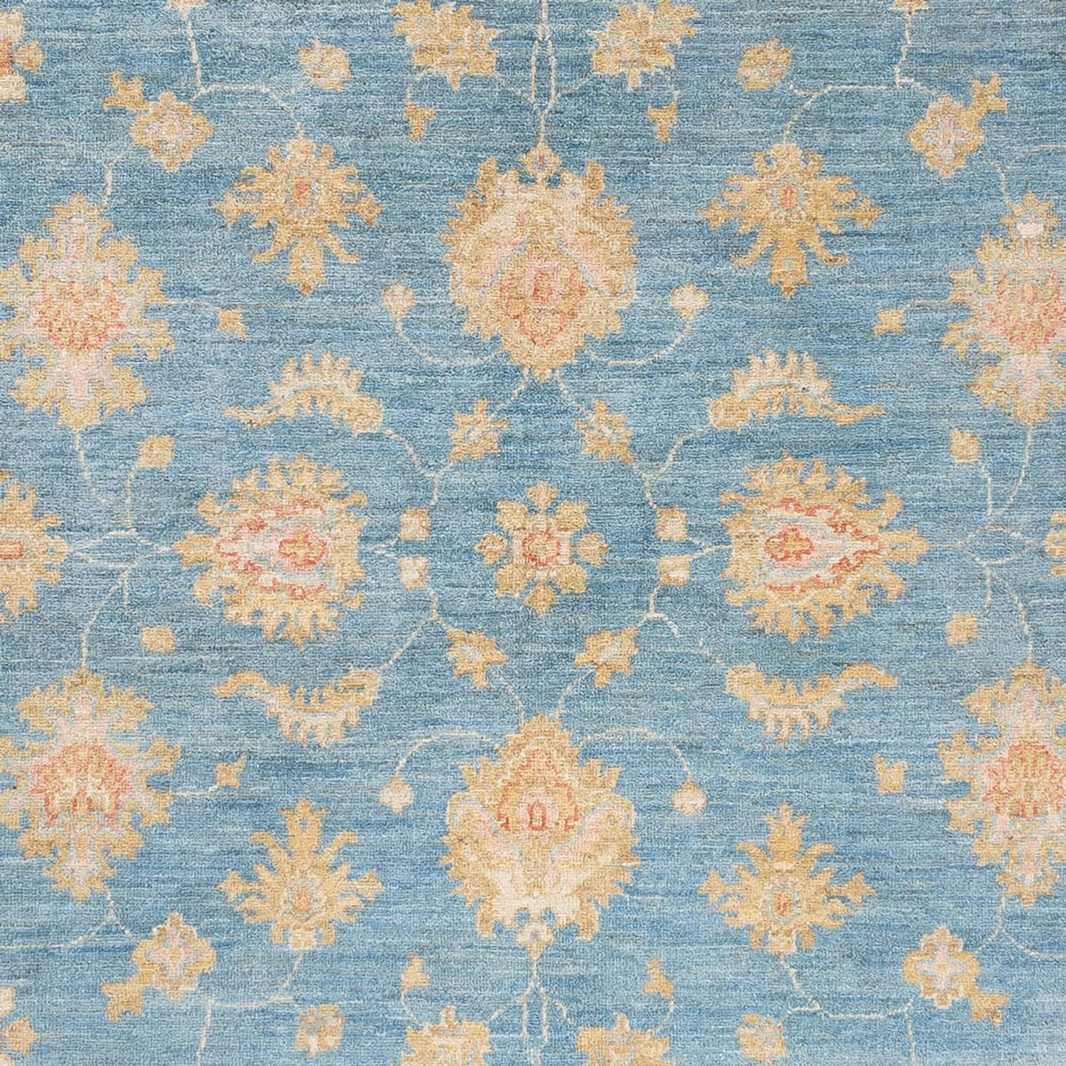 Ziegler Carpet - 240 x 172 cm - blå