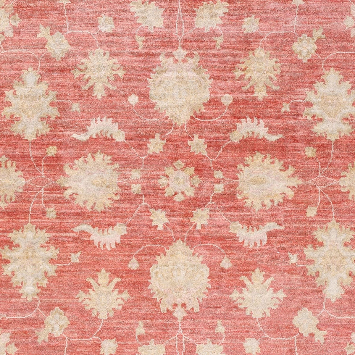 Ziegler Carpet - 248 x 174 cm - röd