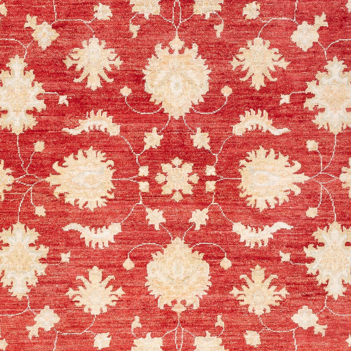 Ziegler Carpet - 240 x 175 cm - röd