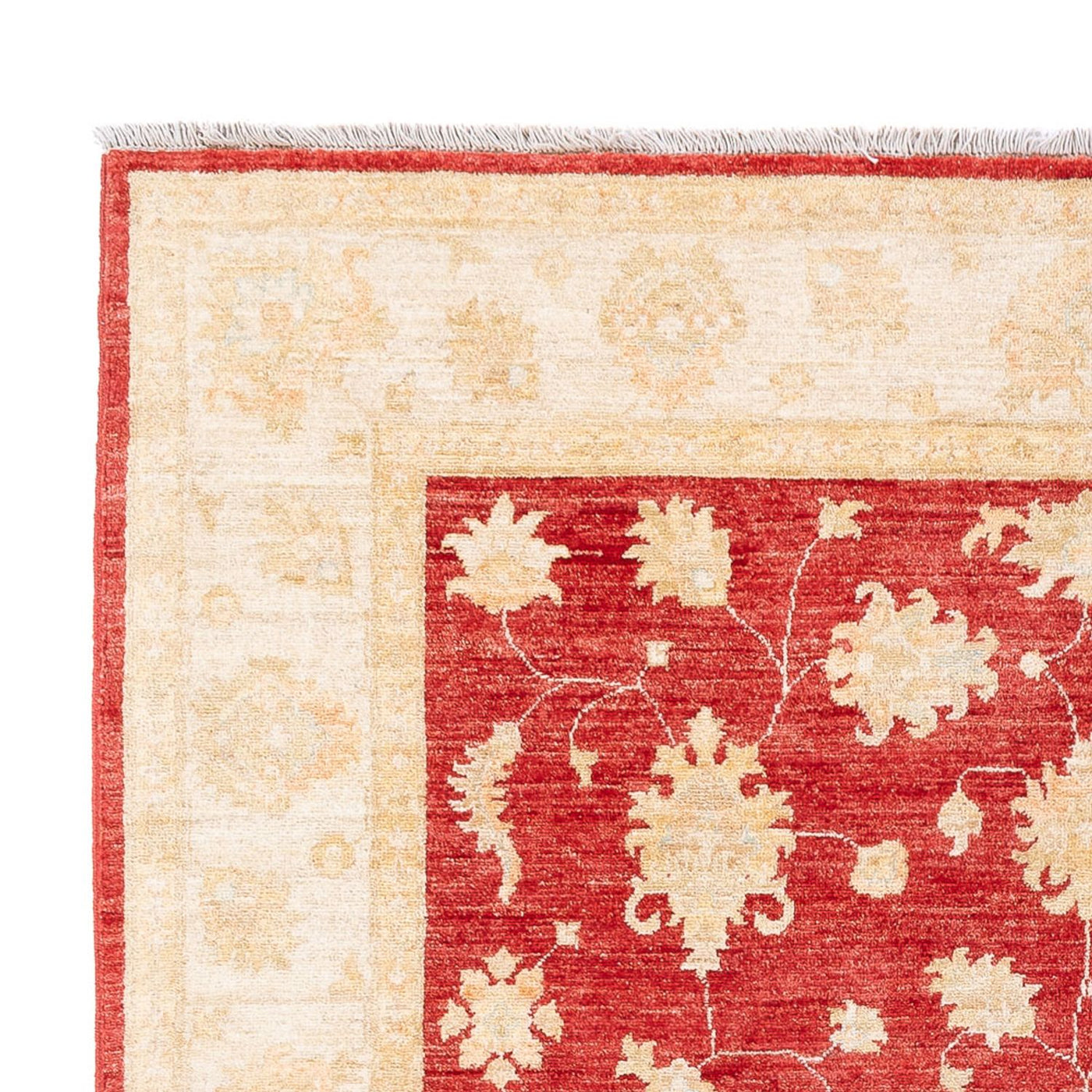 Ziegler Carpet 240x175cm - Oriental Carpet
