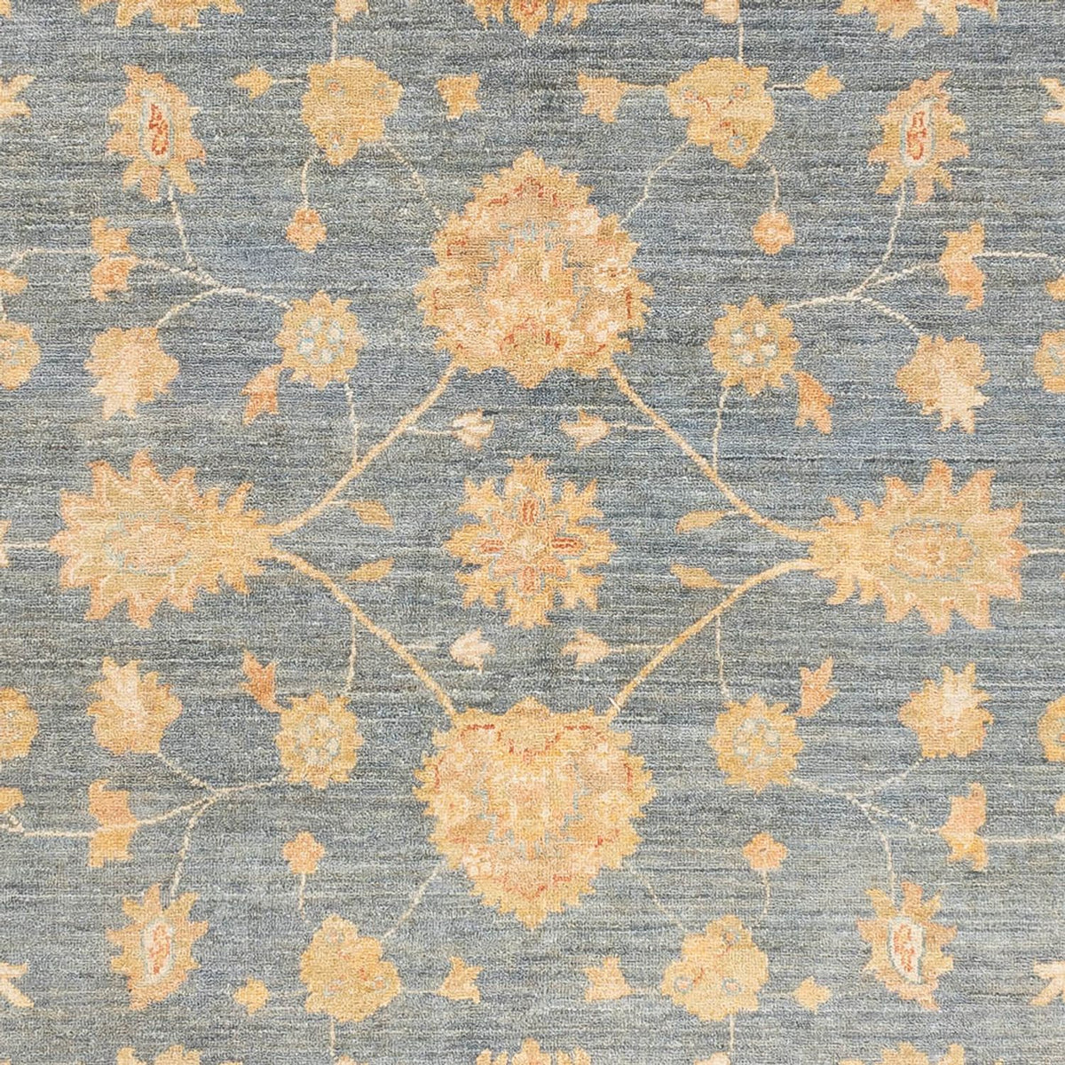 Ziegler Carpet - Ariana - 239 x 174 cm - havsblått