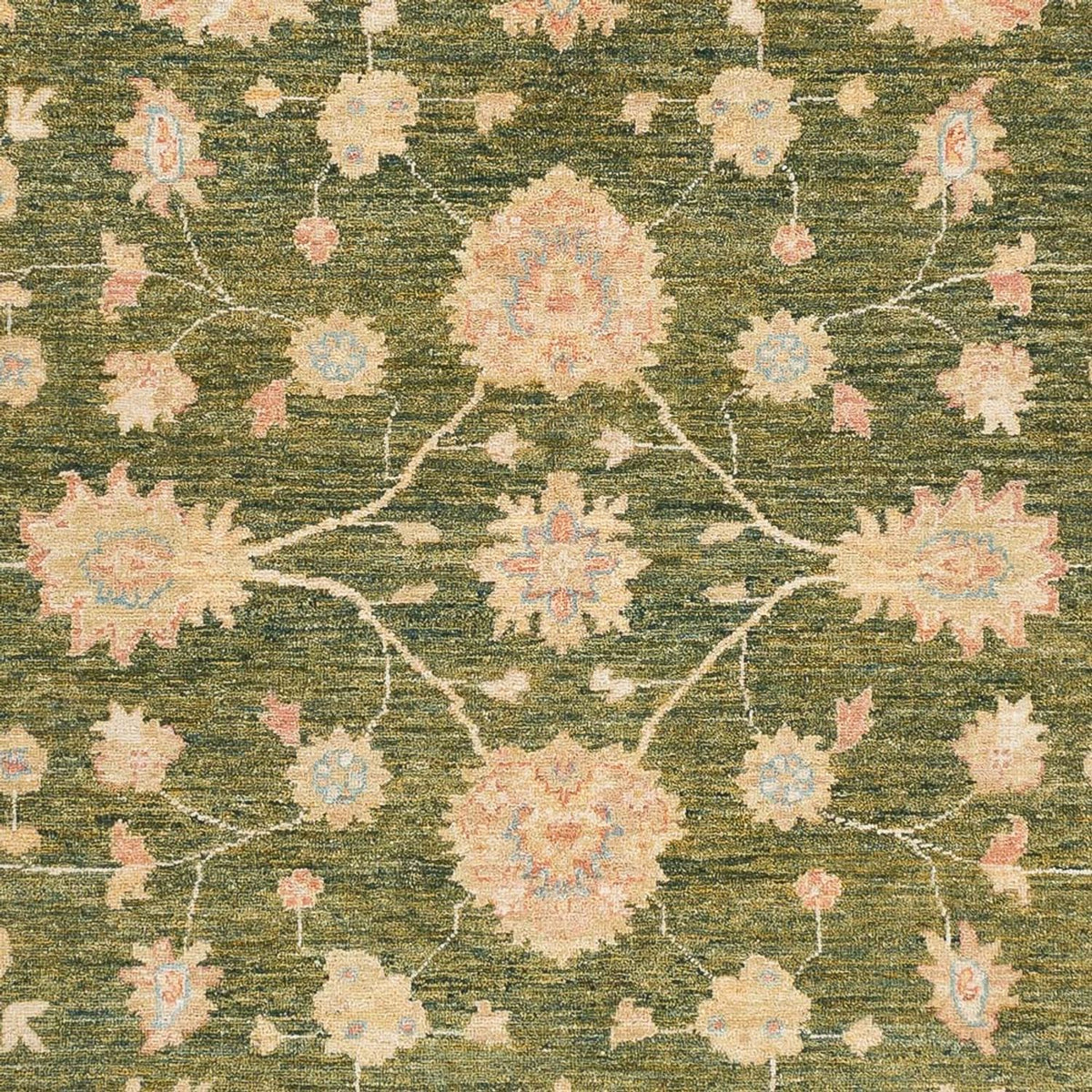 Ziegler Carpet - Ariana - 238 x 177 cm - olivgrön