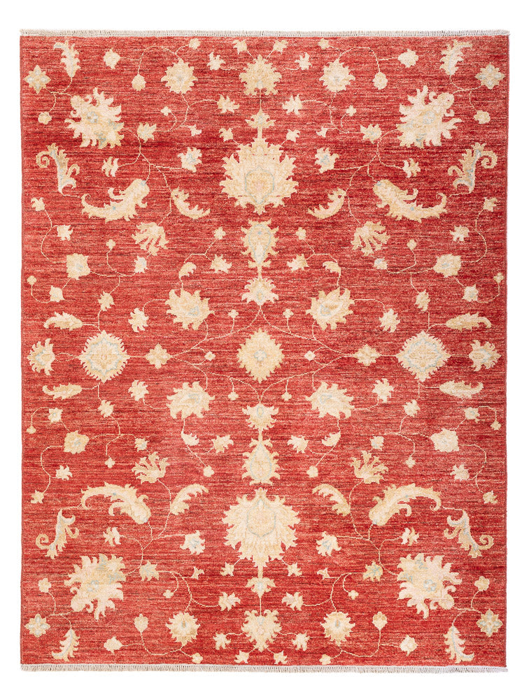 Ziegler Carpet - Modern - 206 x 154 cm - röd