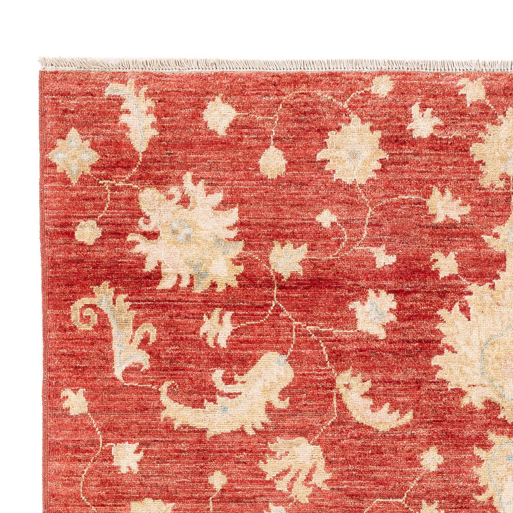Ziegler modern Mattan 206x154cm - Oriental Carpet