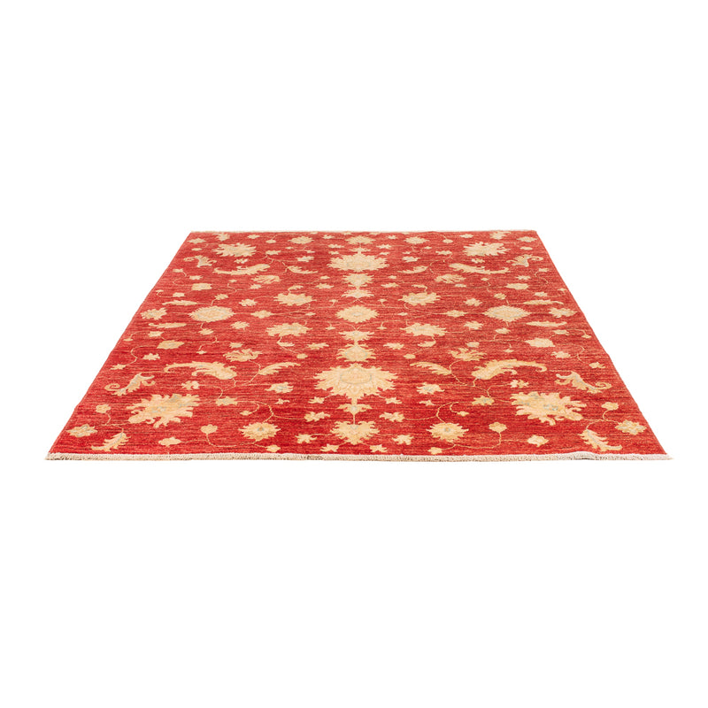 Ziegler Carpet - Modern - 206 x 154 cm - röd