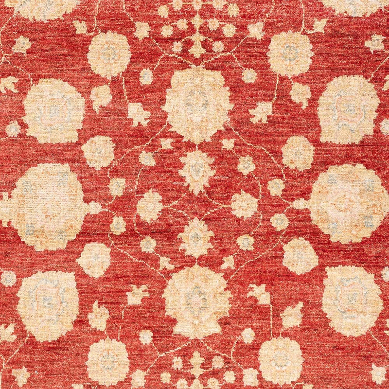 Ziegler Carpet - 210 x 152 cm - röd
