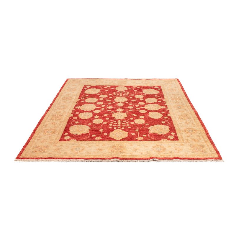 Ziegler Carpet - 210 x 152 cm - röd