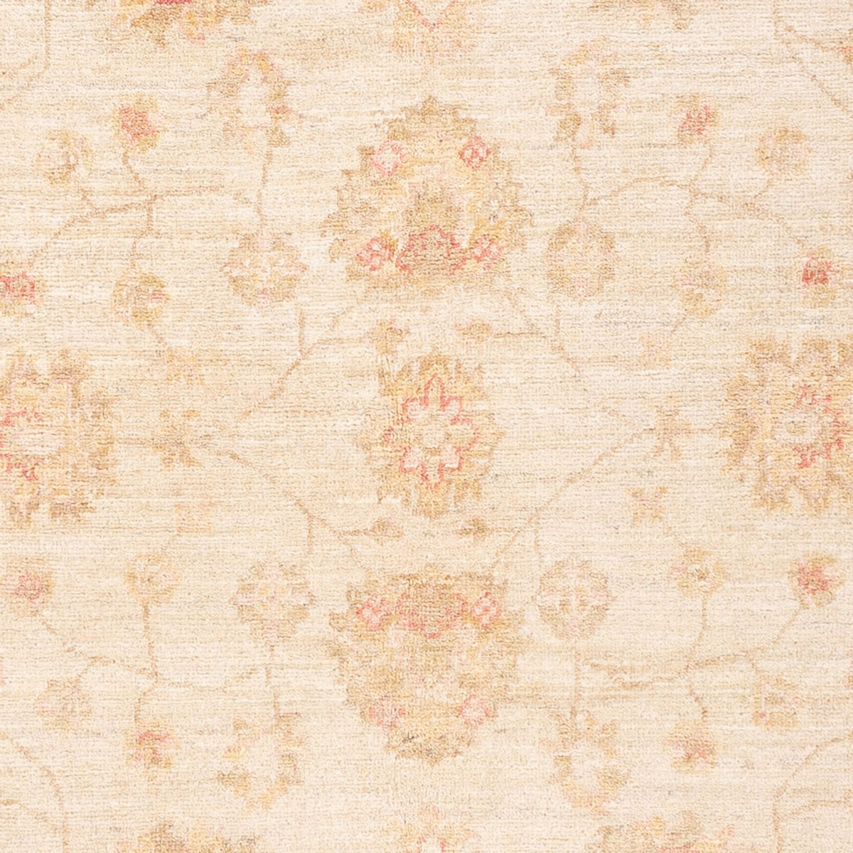 Ziegler Carpet - 182 x 125 cm - naturvit