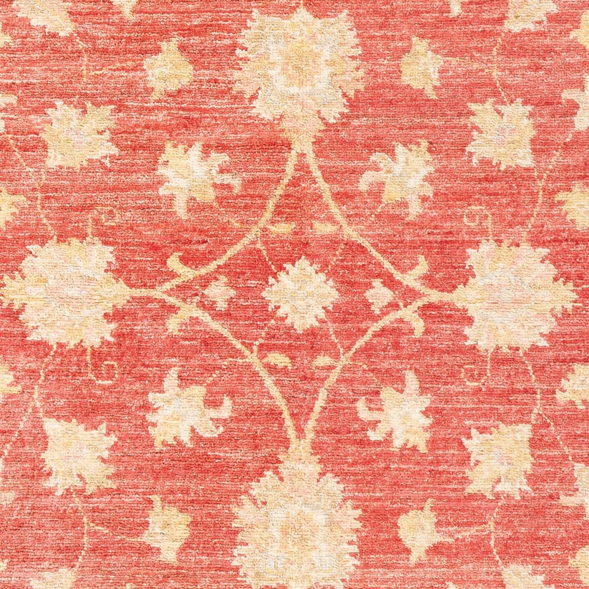 Ziegler Carpet - 176 x 116 cm - röd