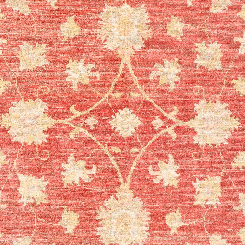 Ziegler Carpet - 176 x 116 cm - röd