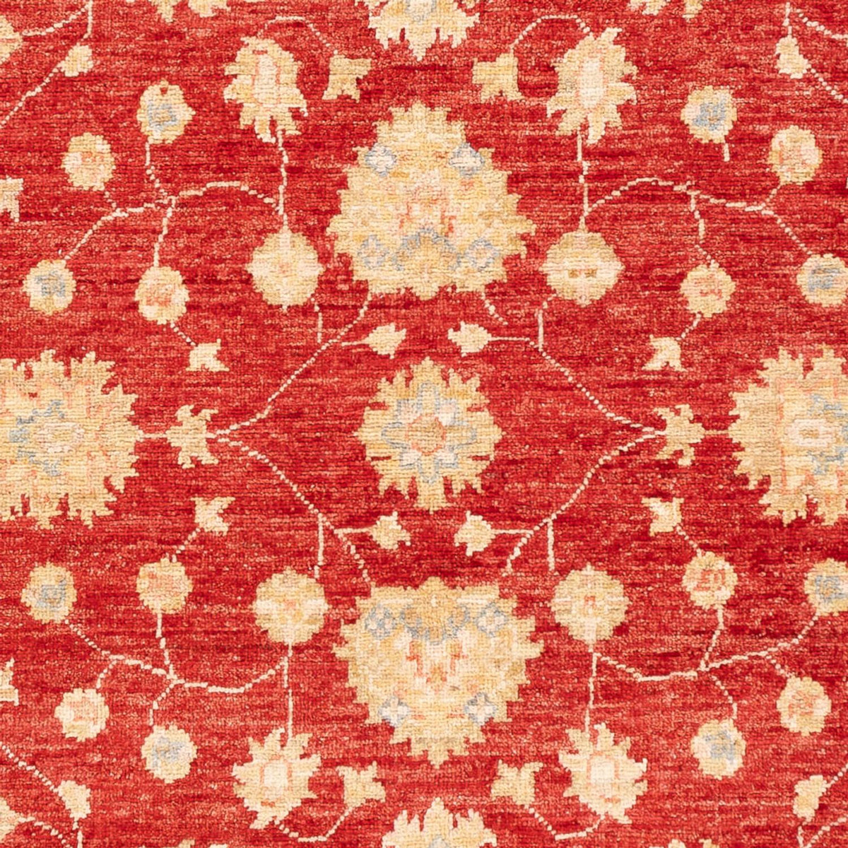 Ziegler Carpet - 177 x 124 cm - röd