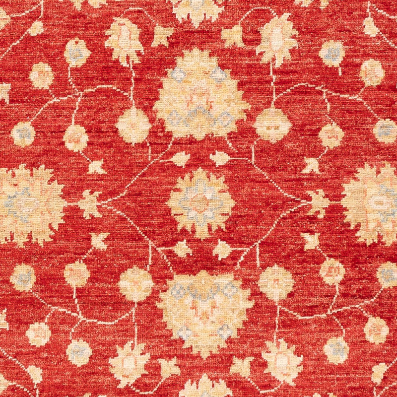 Ziegler Carpet - 177 x 124 cm - röd