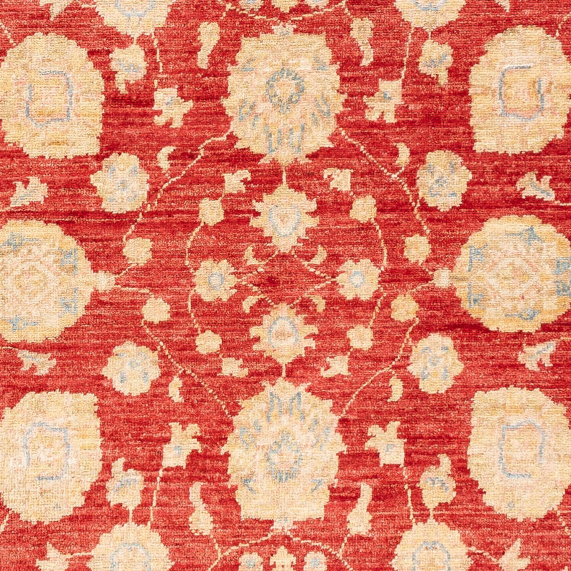 Ziegler Carpet - 181 x 123 cm - röd