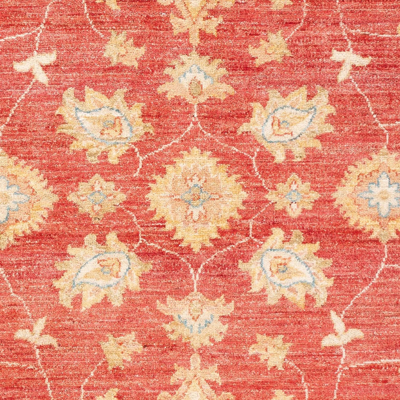Ziegler Carpet - 180 x 127 cm - röd