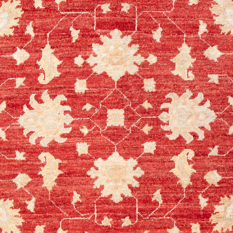Ziegler Carpet - 176 x 124 cm - röd