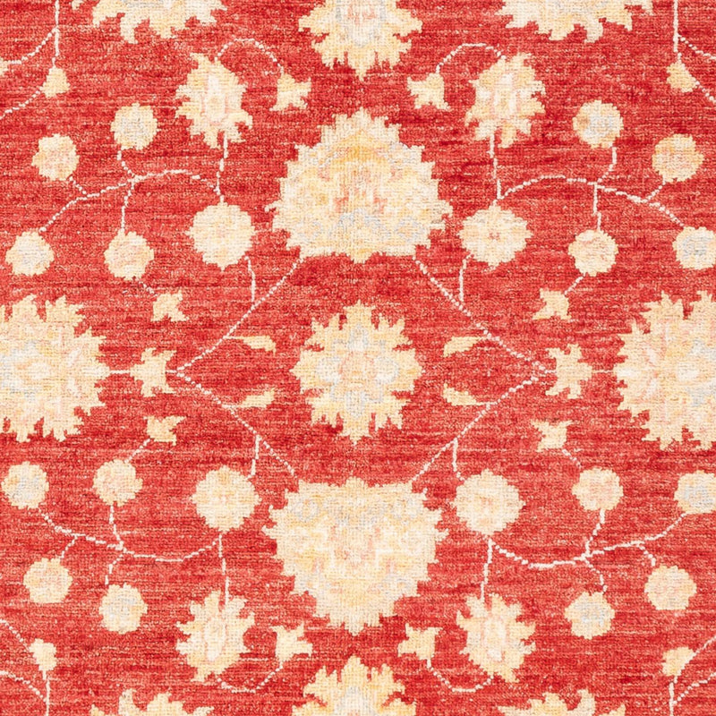 Ziegler Carpet - 177 x 126 cm - röd