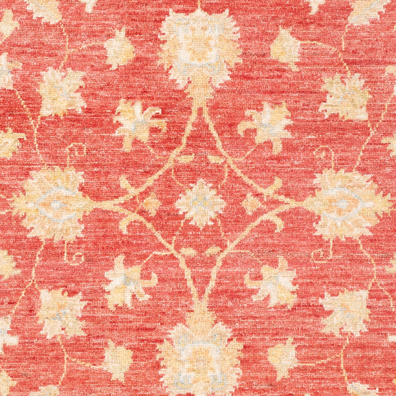 Ziegler Carpet - 183 x 125 cm - röd