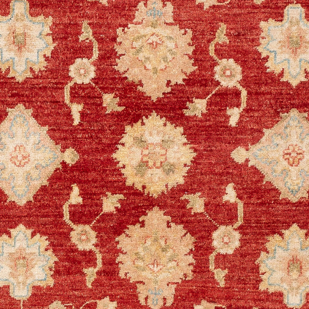 Ziegler Carpet - 151 x 102 cm - röd