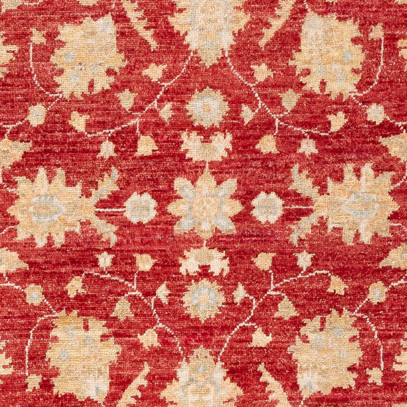 Ziegler Carpet - 148 x 98 cm - röd