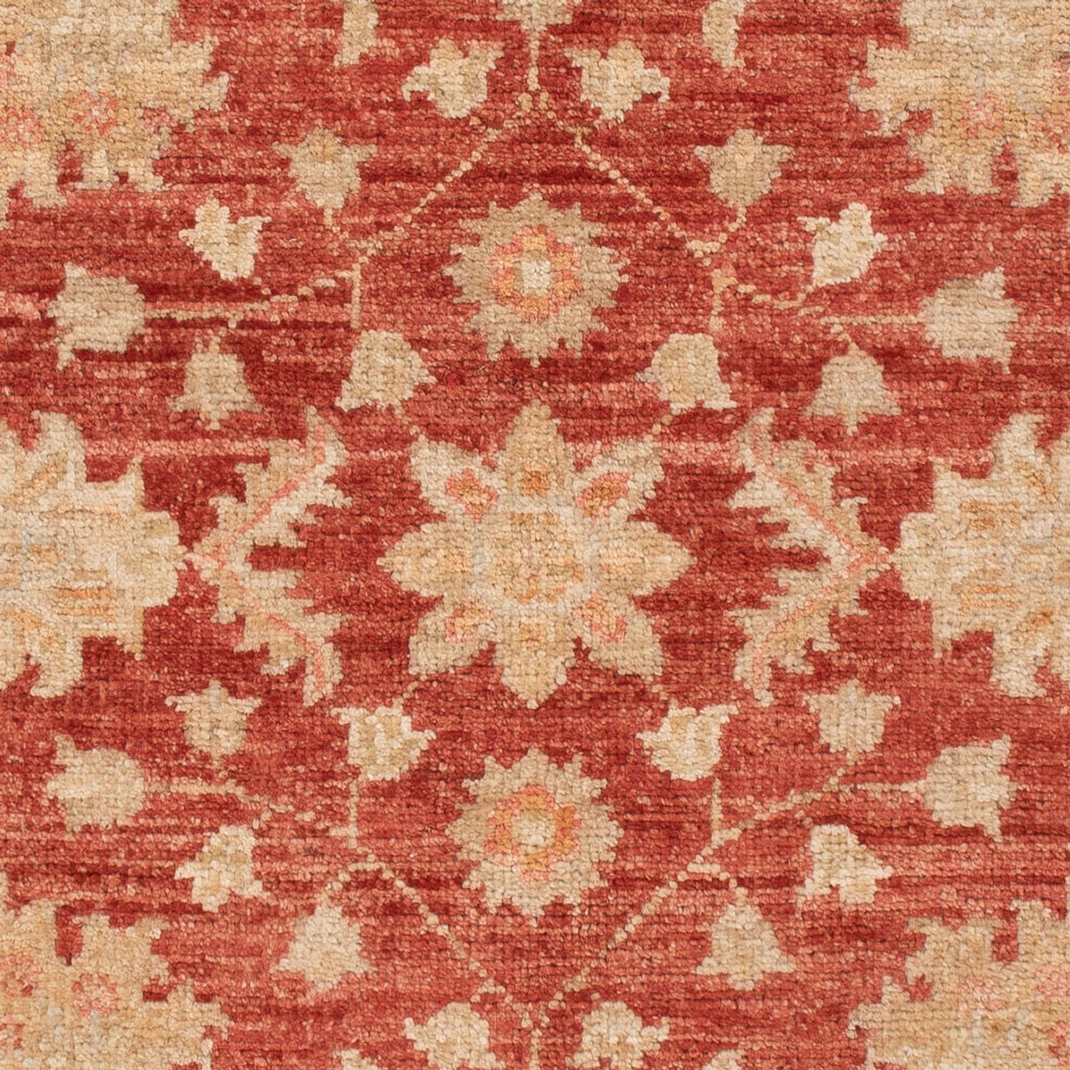Ziegler Carpet - 125 x 80 cm - mörkröd