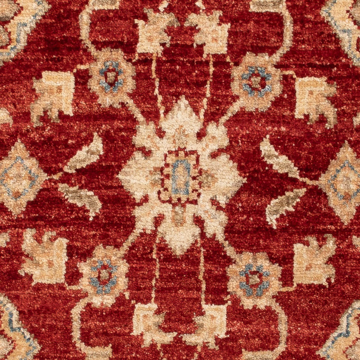 Ziegler Carpet - 114 x 70 cm - röd