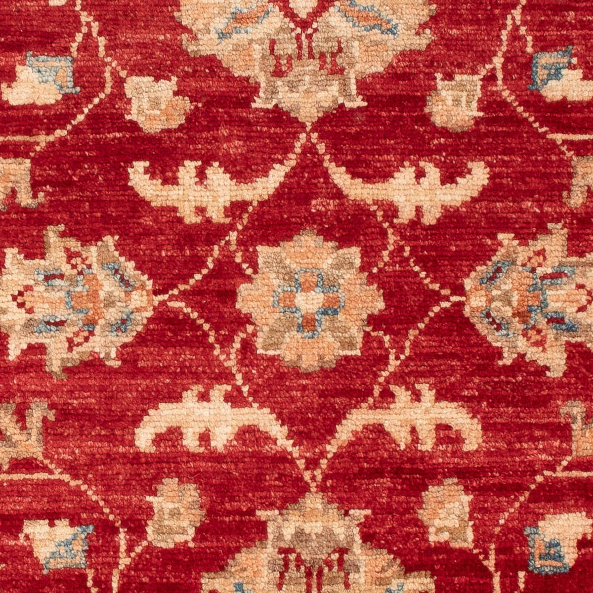 Ziegler Carpet - 101 x 70 cm - röd