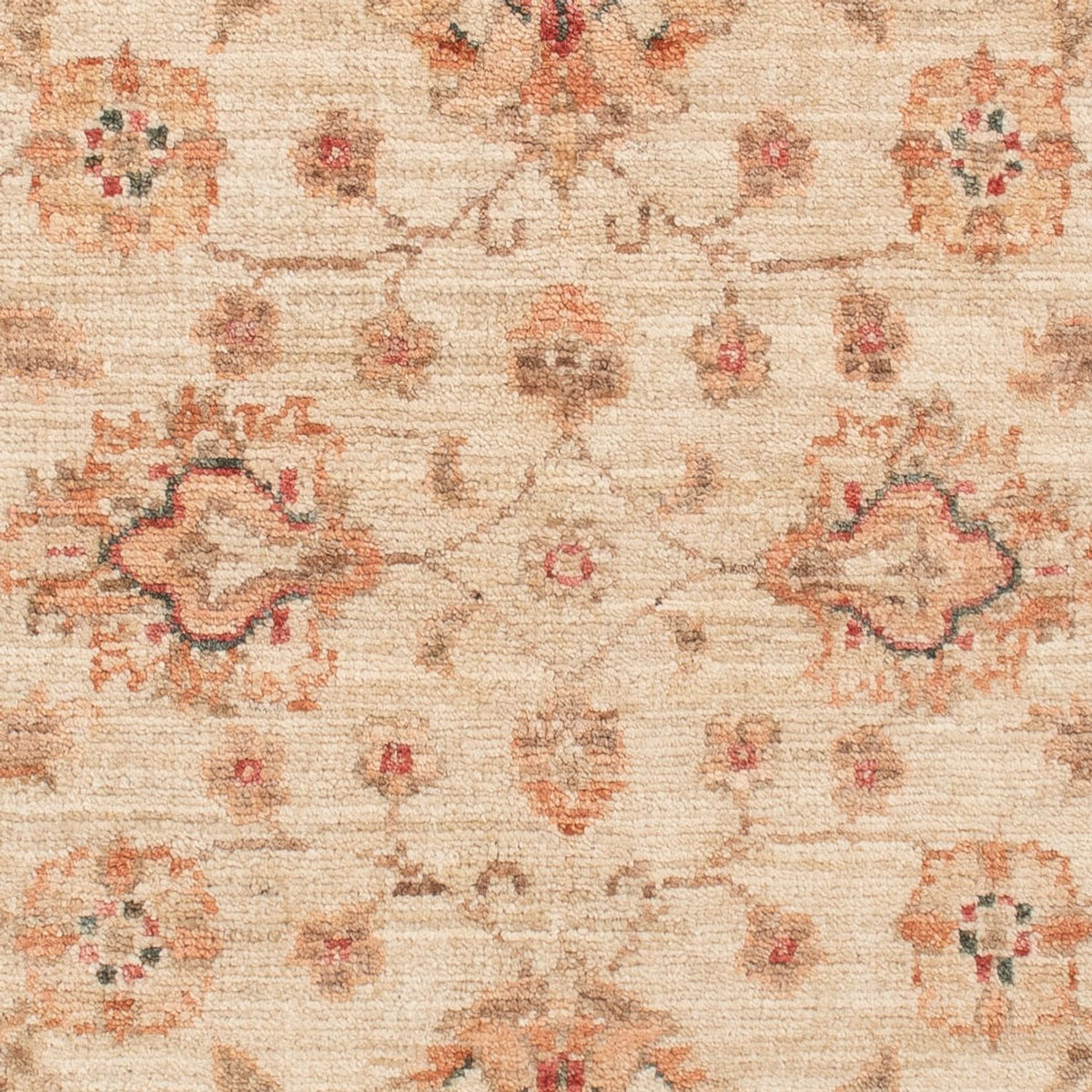 Ziegler Carpet - 120 x 83 cm - beige