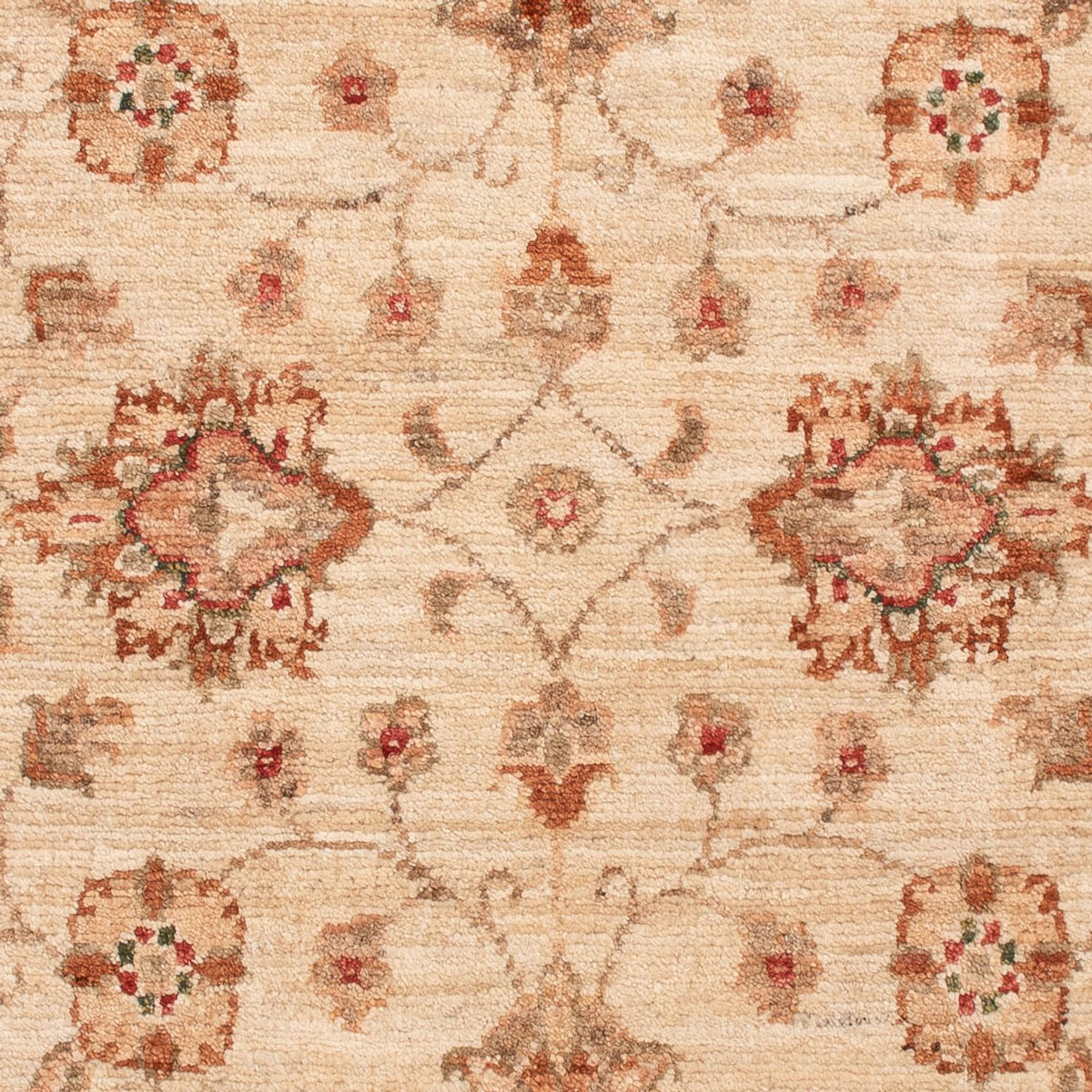Ziegler Carpet - 130 x 81 cm - beige