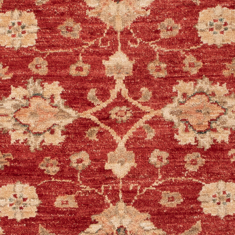 Ziegler Carpet - 110 x 82 cm - röd