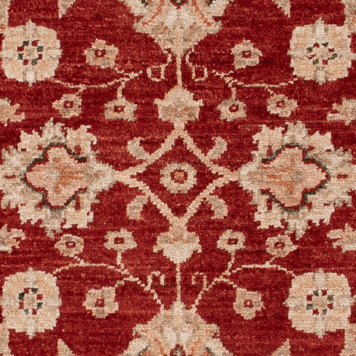 Ziegler Carpet - 122 x 84 cm - bordeaux röd
