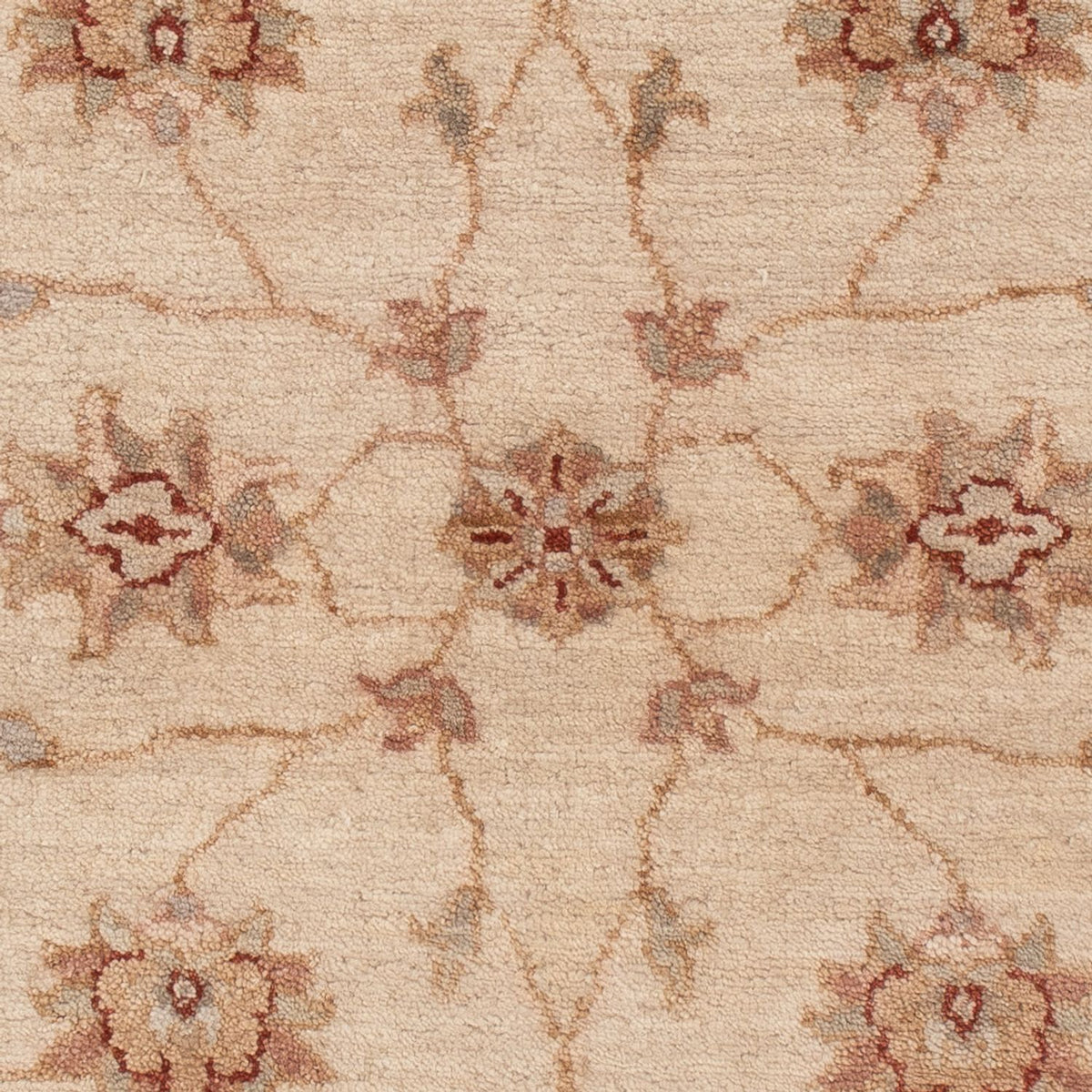 Ziegler Carpet - 120 x 80 cm - beige