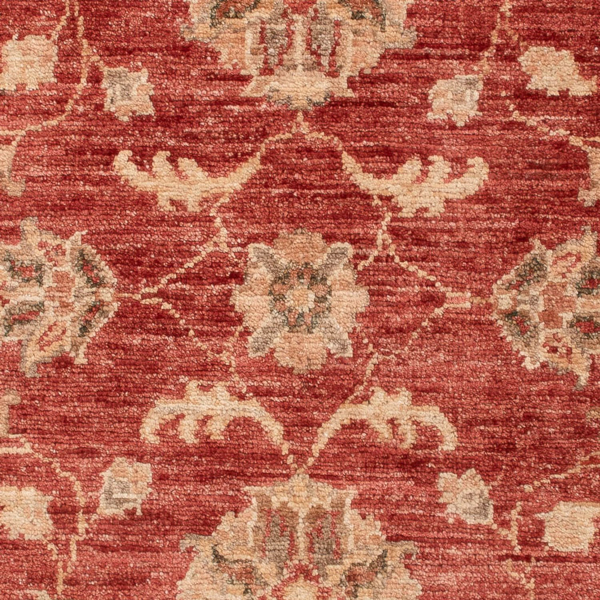 Ziegler Carpet - 122 x 84 cm - röd