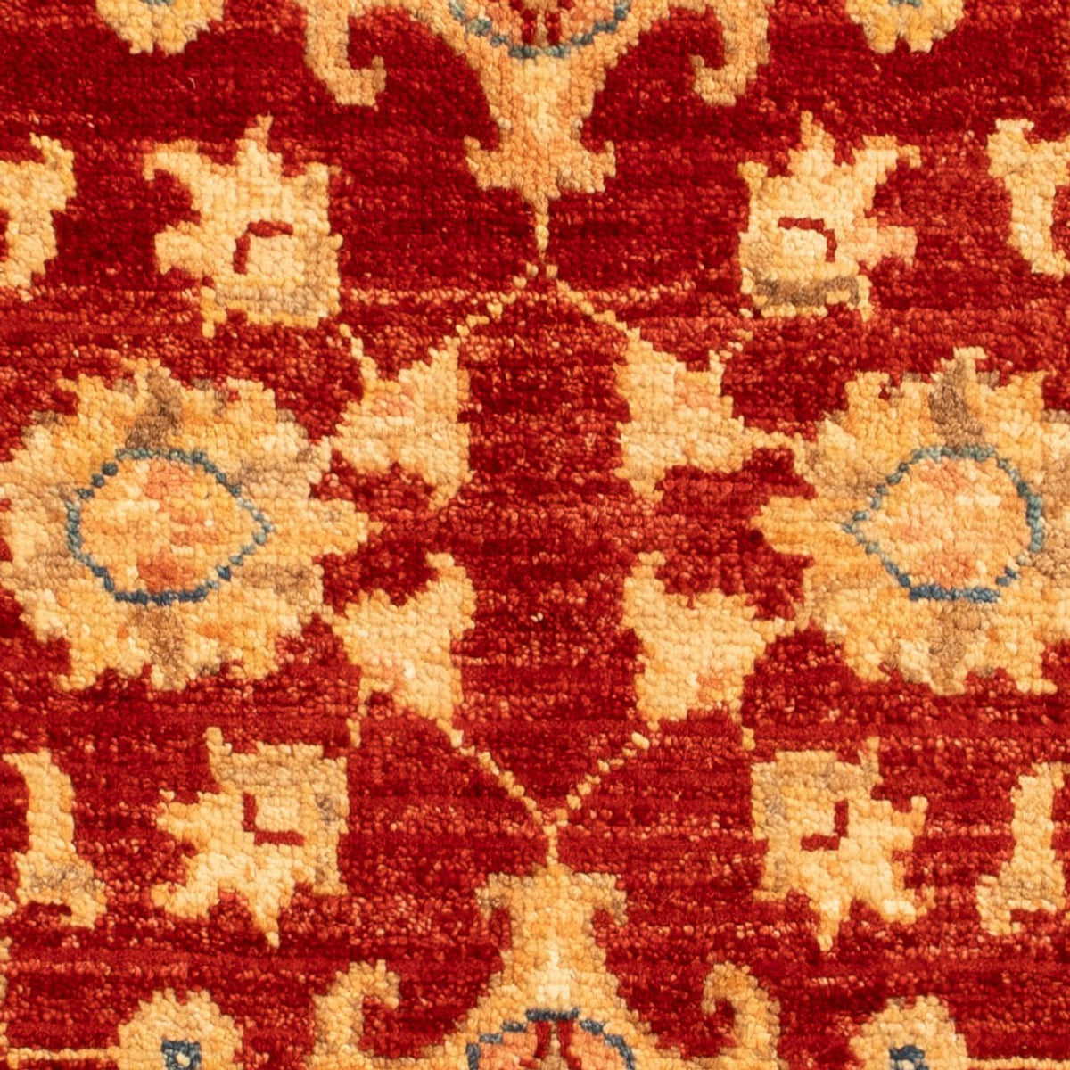 Ziegler Carpet - 88 x 59 cm - röd