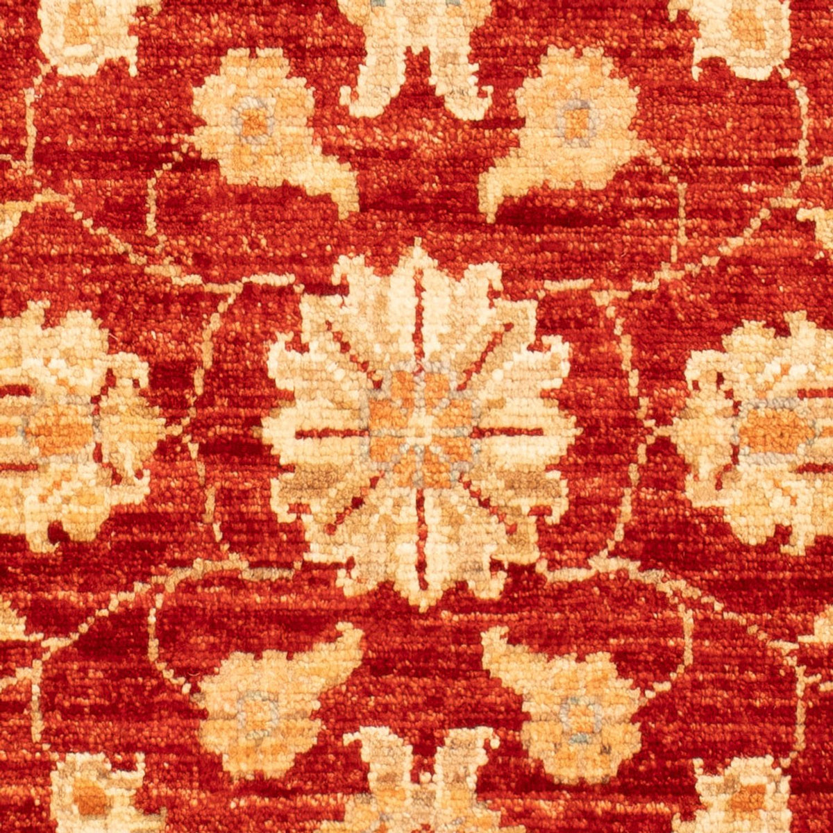 Ziegler Carpet - 92 x 59 cm - röd
