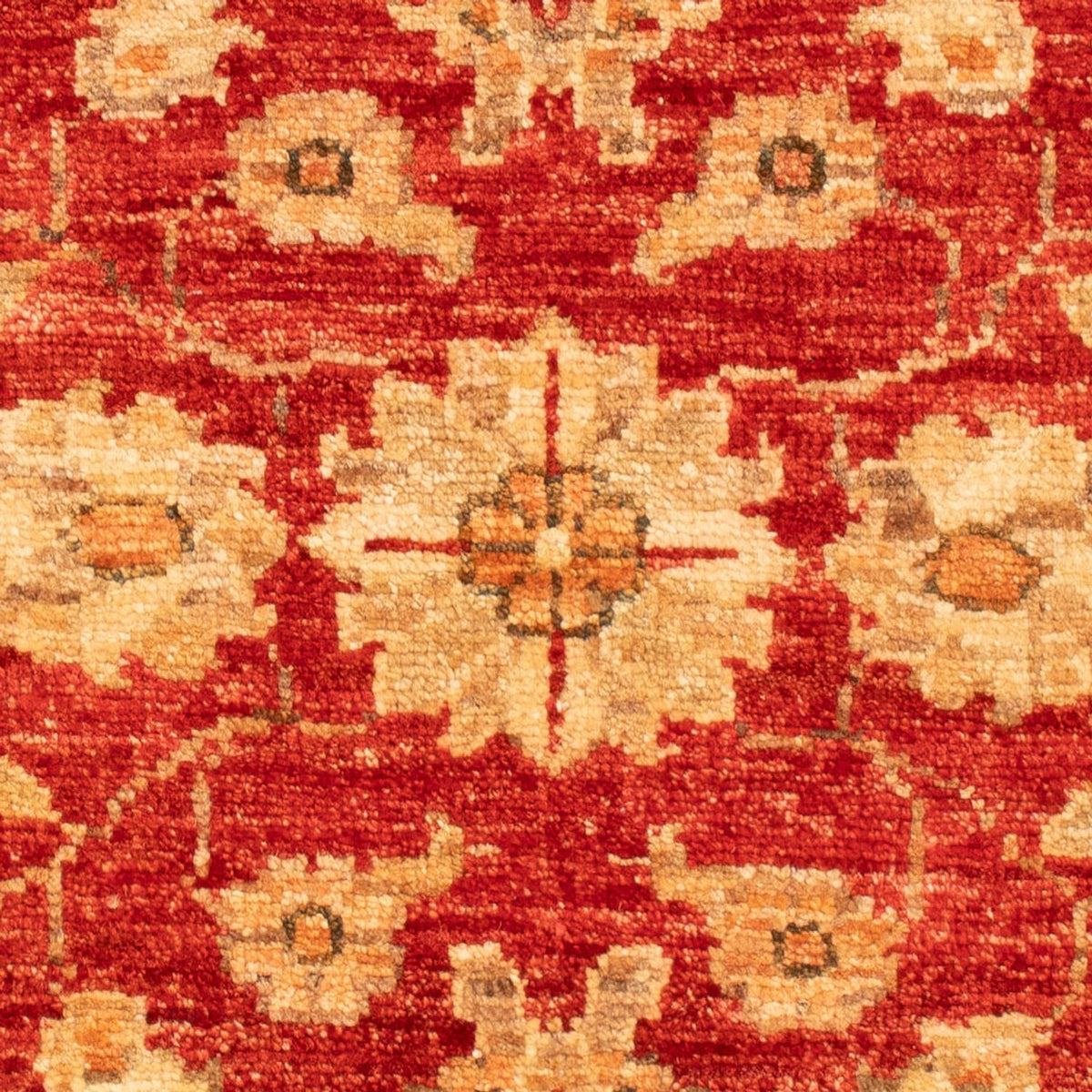 Ziegler Carpet - 92 x 60 cm - röd