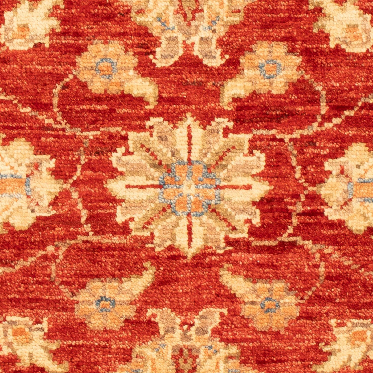 Ziegler Carpet - 92 x 63 cm - röd