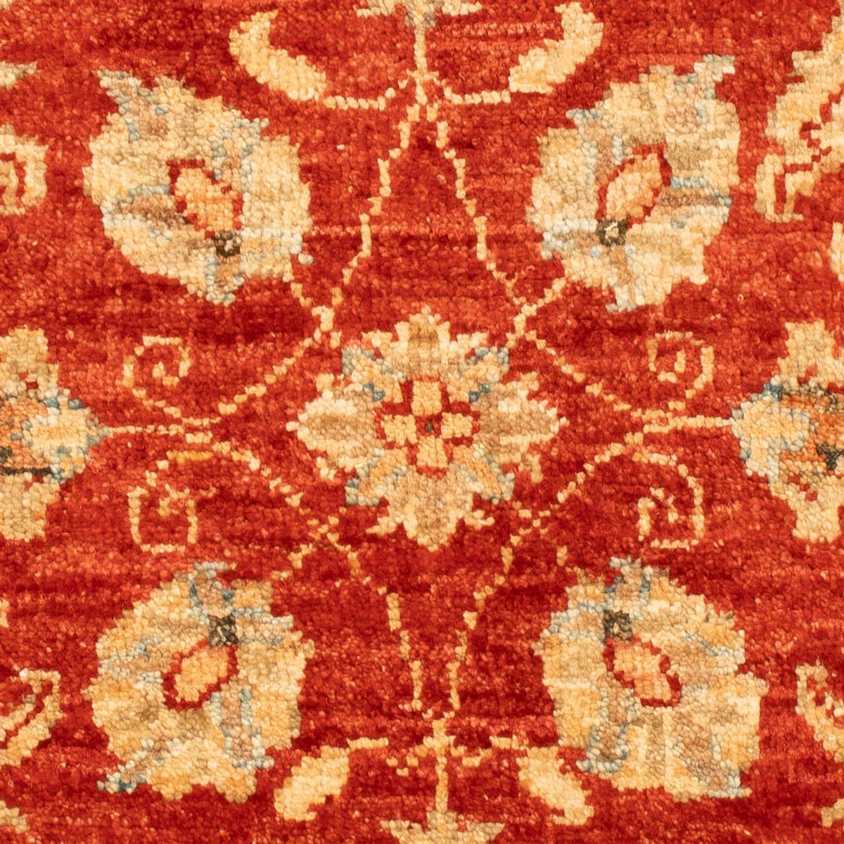 Ziegler Carpet - 87 x 61 cm - röd