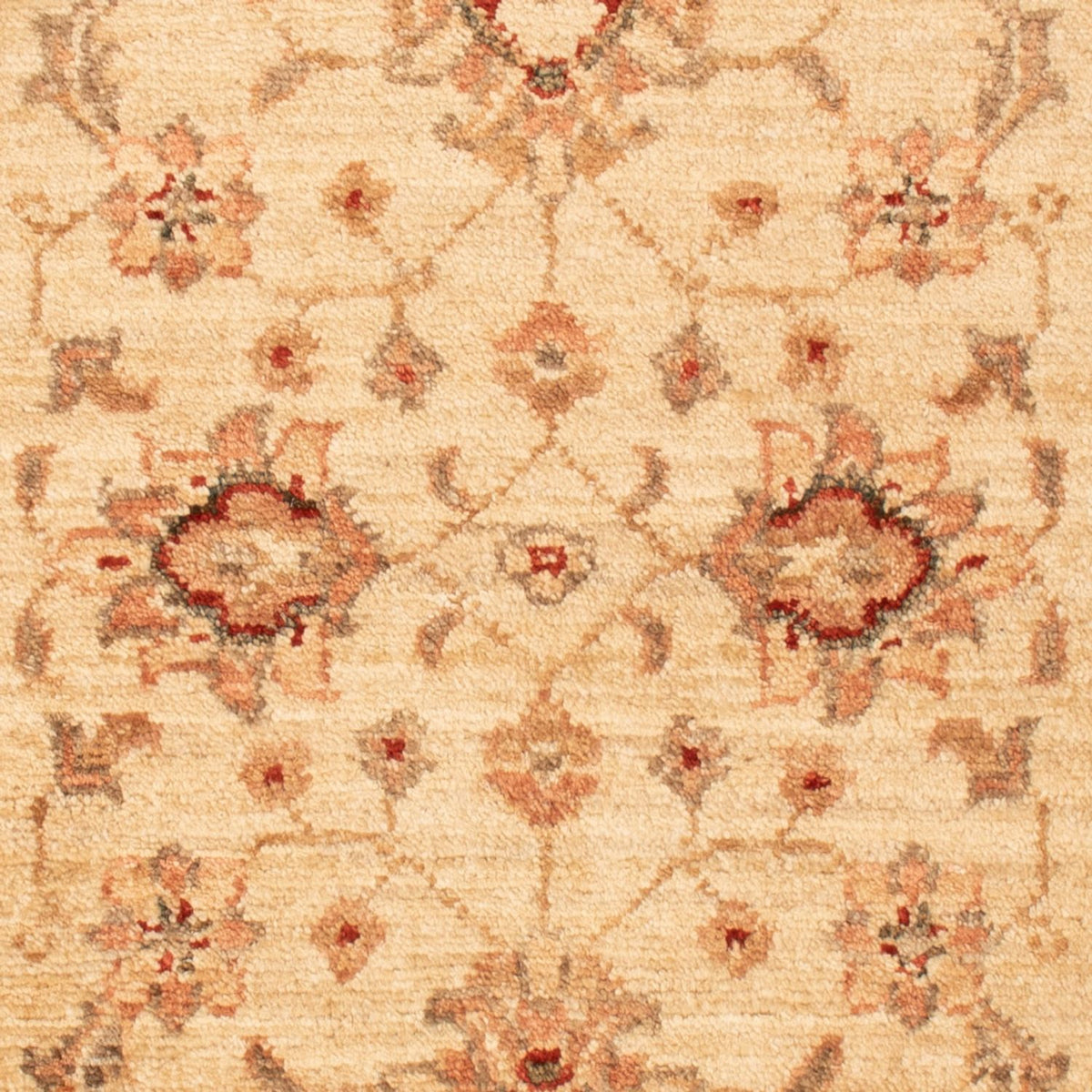Ziegler Carpet - 90 x 60 cm - beige