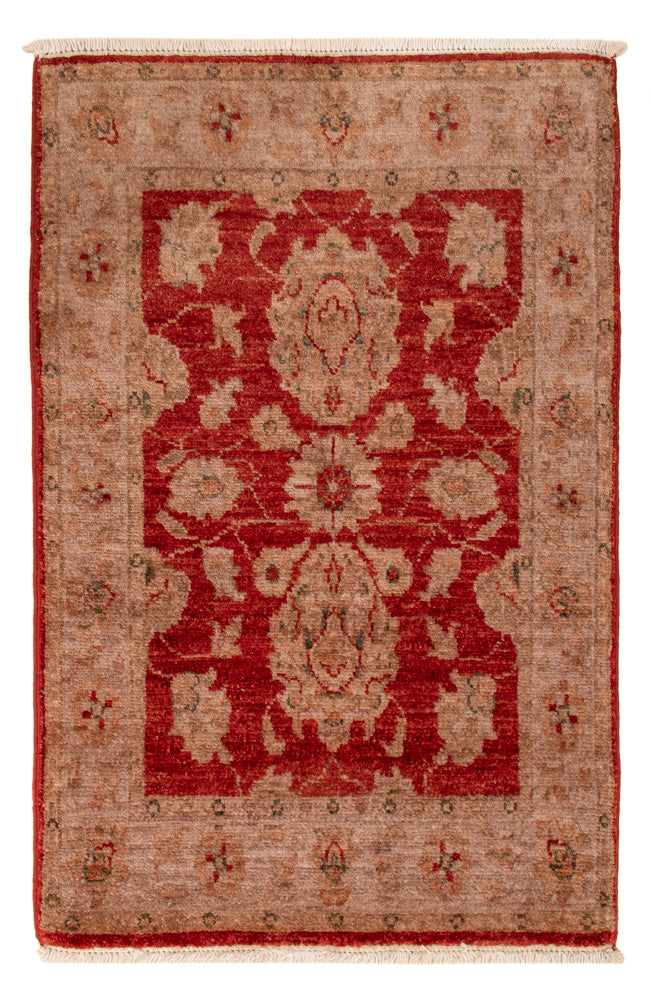 Ziegler Carpet - 88 x 59 cm - röd