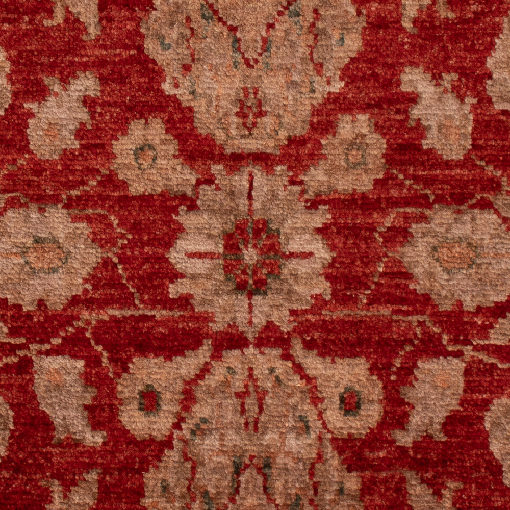 Ziegler Carpet - 88 x 59 cm - röd